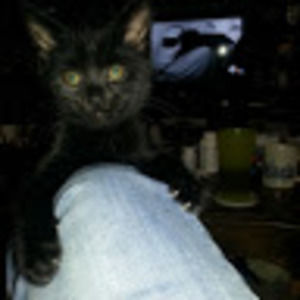 Meet your Posher, Rebecca